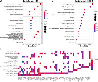 Unbiased transcriptome mapping and modeling identify candidate genes and compounds of osteoarthritis